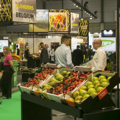 Fruit Attraction 2025 consolida su liderazgo internacional con 121.137 profesionales