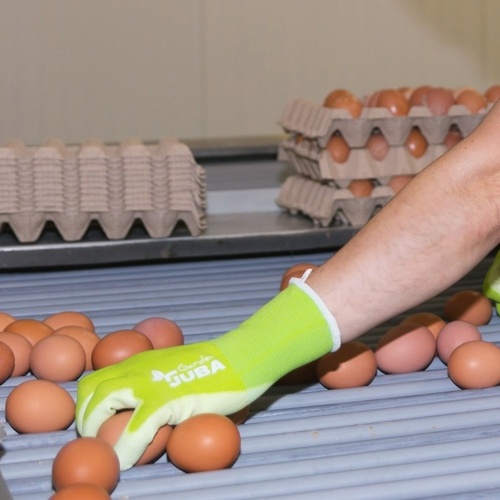 8 de cada 10 personas apuestan por el consumo de huevos de proximidad