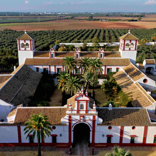La Fundación Juan Ramón Guillén galardona a José María García, Luis Rallo, Bioliza y Sicloo en la cuarta edición de sus premios