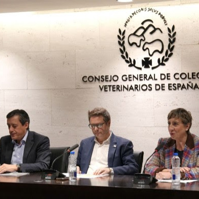 Menos burocracia, más competitividad: el agroalimentario pide regulación eficaz