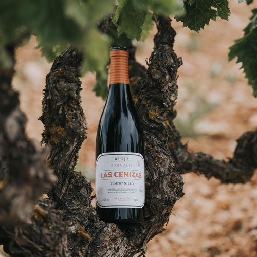 Las Cenizas 2021, el vino de pueblo de los hermanos Hernáiz