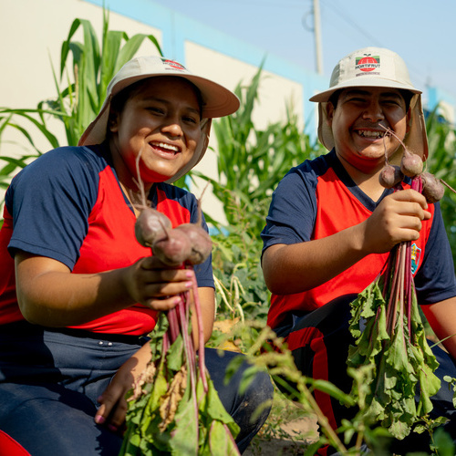 Hortifrut y Nature’s Pride Foundation refuerzan su compromiso social con un programa de huertos escolares en Virú, Perú