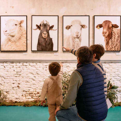 Madrid acoge la quinta edición de ‘Pastoreo’: el pop up cultural de Interovic que acerca el cordero a la ciudad