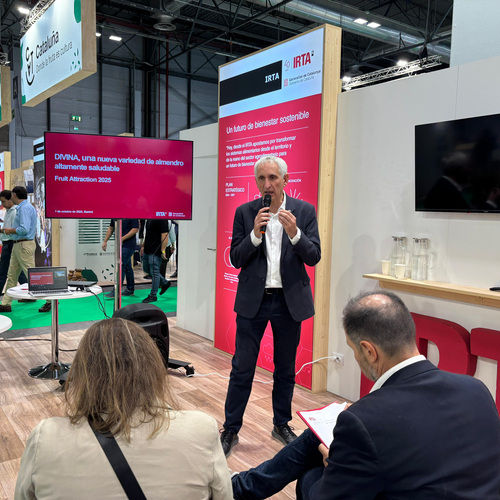 El IRTA presenta DIVINA en Fruit Attraction: una nueva variedad de almendro con un alto contenido en fibra, grasa y ácido oleico
