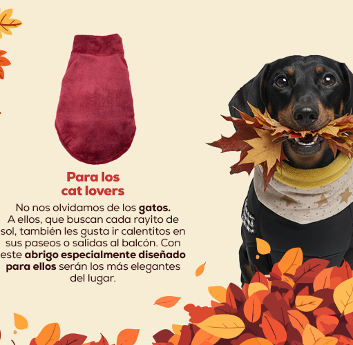 Lo último en ropa de abrigo para mascotas
