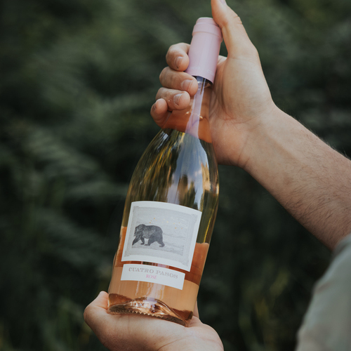 Cuatro Pasos Rosé, reconocido como mejor vino rosado del Bierzo 2025 por Tim Atkin