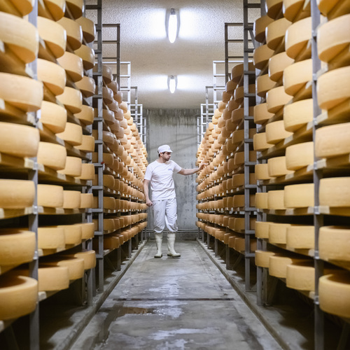 Le Gruyère AOP suizo de Neuchâtel, elegido el mejor queso del mundo en el Mondial du Fromage de Tours, Francia