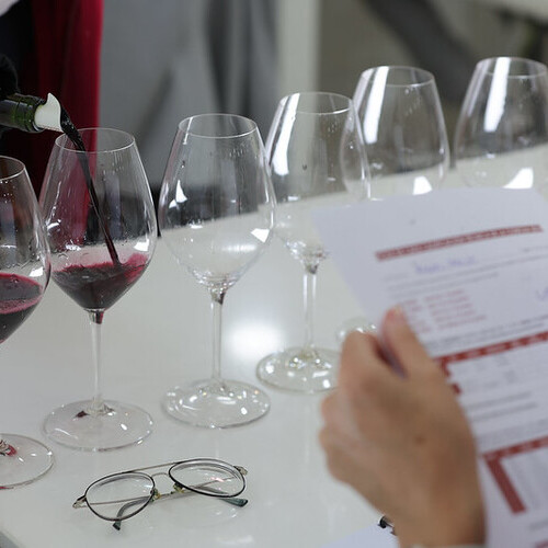 Un comité formado por un grupo de reconocidos expertos colaborará en la Calificación de la Añada 2024 de Ribera del Duero