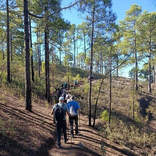  Smurfit Westrock apuesta por la sostenibilidad con la celebración del Gran Canaria Walking Festival 2025