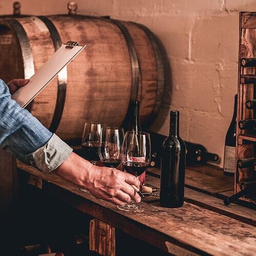 TRAVINO aterriza en España para revolucionar la compra online de vino