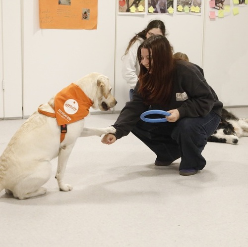 La terapia asistida con animales se consolida como herramienta de apoyo en jóvenes con trastornos de la conducta alimentaria