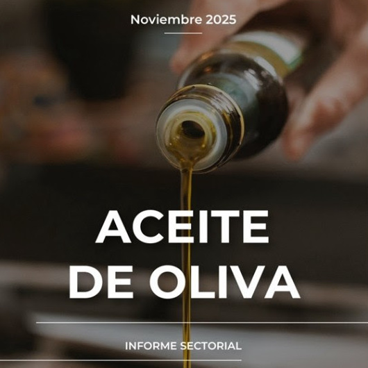 España consolida su liderazgo mundial en el aceite de oliva: 1,4 millones de toneladas y fuerte impulso exportador