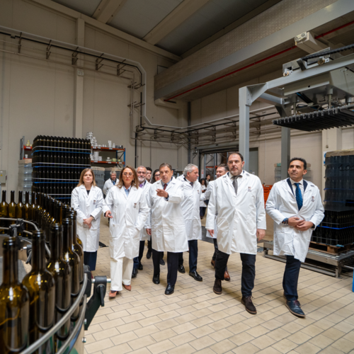 Cuatro Rayas estrena nueva bodega: más capacidad, más calidad, mismo espíritu verdejo