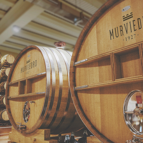 Día Mundial del Enoturismo en Bodegas Murviedro