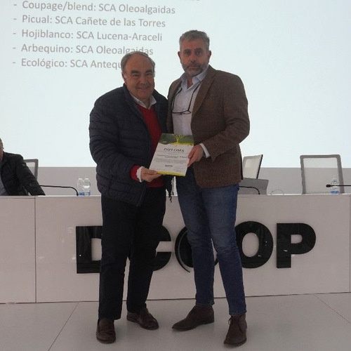 Dcoop premia los mejores aceites tempranos de la campaña 2025/26