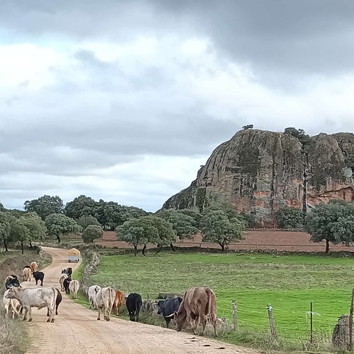 Dehesa Grande galardonada con el premio Innovación en los XII Premios del Campo de El Norte de Castilla