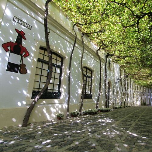 González Byass, entre las 50 mejores bodegas del mundo según The World's Best Vineyards 2025