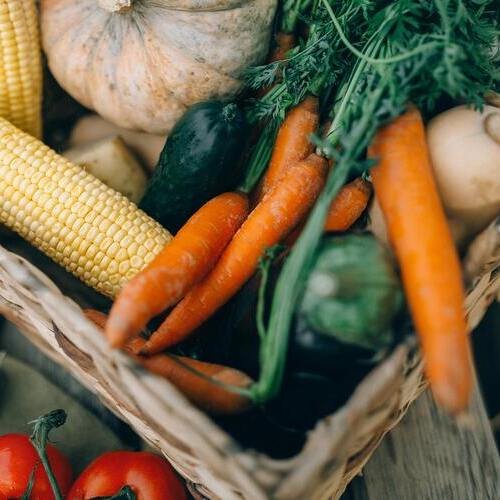 La nutrición personalizada, una aliada en el control y la prevención de la diabetes