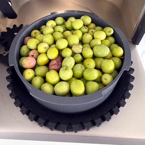 Vidabol Castilla-La Mancha comienza la próxima semana su recogida de aceituna, con una cosecha similar al pasado año