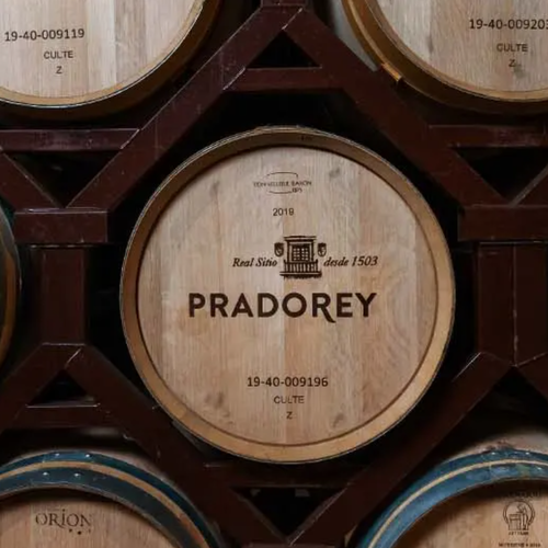 Pradorey un año más en el Salón de los Mejores Vinos de España - Peñín 