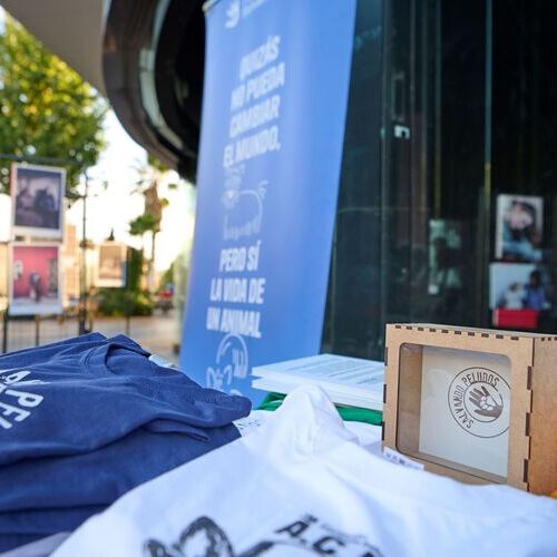 Savills y la Fundación Salvando Peludos impulsan una campaña en centros comerciales pionera de sensibilización sobre bienestar animal