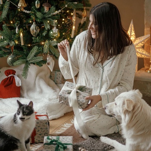 Tendencias Pet-Friendly para regalar por Black Friday: bienestar, sostenibilidad y diversión con Tiendanimal