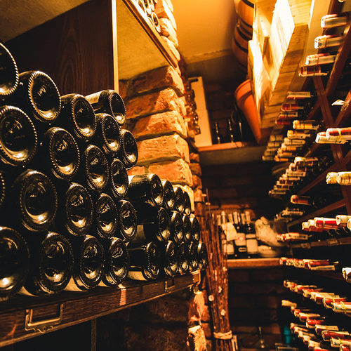 El otoño se sirve en copa: seis vinos para disfrutar la temporada