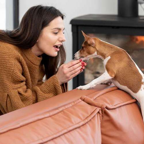 El vínculo emocional con perros y gatos ayuda a aliviar los momentos de duelo y soledad durante las Navidades