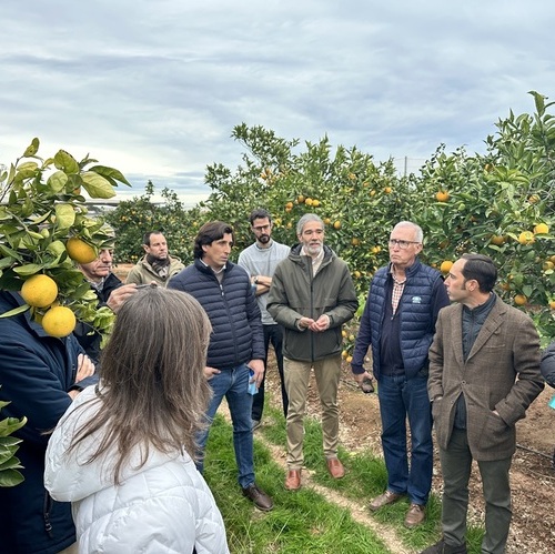 AGRISME II acerca la digitalización a las pymes agrícolas con soluciones tecnológicas accesibles