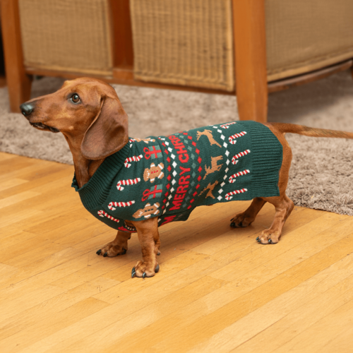 ALDI viste a los peludos del hogar con su nueva colección navideña para mascotas