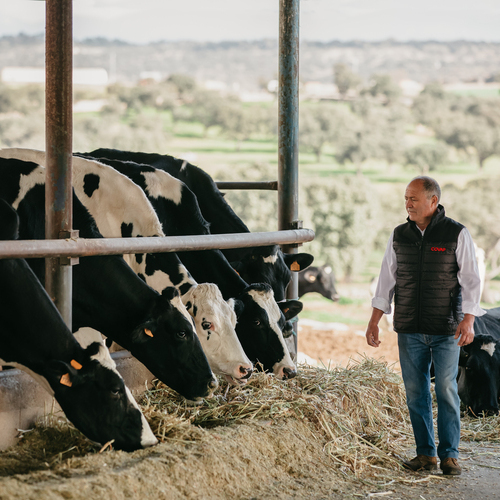 COVAP reduce más de un 18% la huella de carbono en cada litro de la leche de vaca que produce