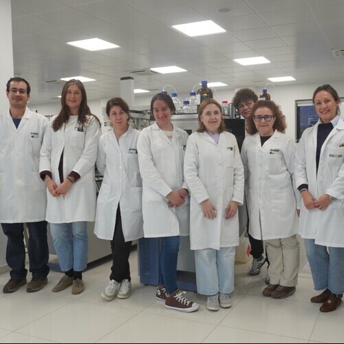 El laboratorio de aceite de Dcoop renueva el reconocimiento COI