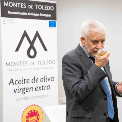 La DOP Montes de Toledo presenta el AOVE de la nueva cosecha 2025/2026 y destaca su excelente calidad