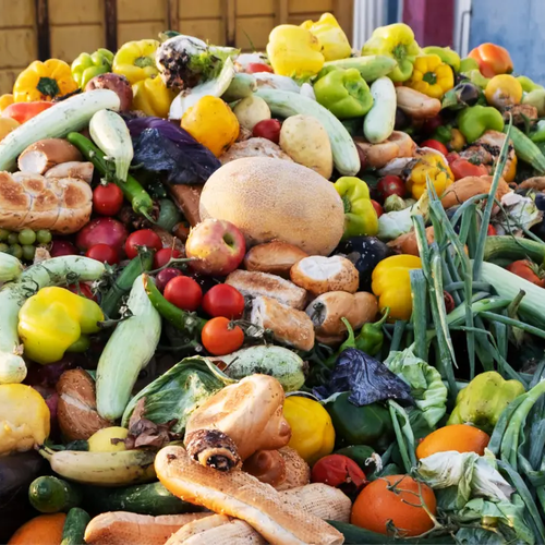 La revalorización de alimentos: transformar residuos en recursos para un sistema alimentario más sostenible