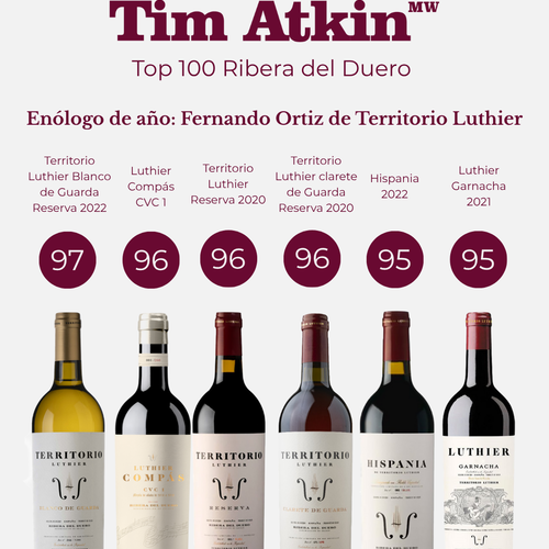 Territorio Luthier protagonista del año en Ribera del Duero según Tim Atkin: Enólogo del año y 6 vinos por encima de 95 puntos