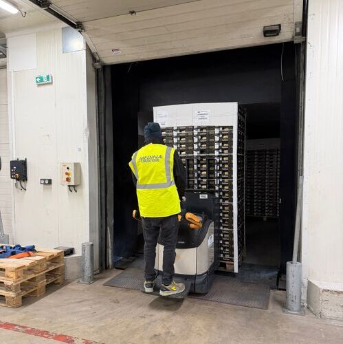Montosa amplía su capacidad operativa en Francia con un nuevo almacén en Perpiñán