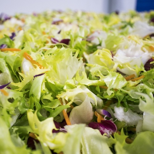 Grupo Enhol y Stellum Food&Tech entran en el capital de Huerta de Peralta para potenciar su crecimiento