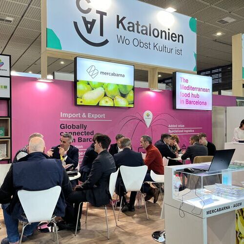 Mercabarna se presenta como líder europeo por su amplia y variada oferta y logística especializada en frutas y hortalizas 
