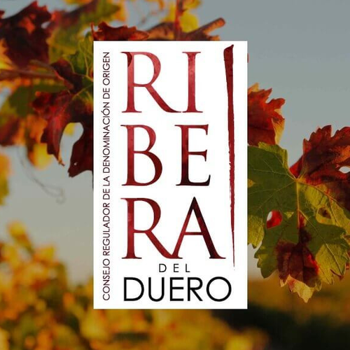 Ribera del Duero cierra 2025 con un crecimiento del 1,6% en ventas, acercándose a los 92,5 millones de botellas