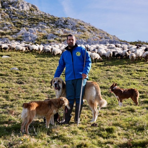 Alimerka refuerza su apoyo a la ganadería de montaña con la novena campaña de lechazos Pro-Biodiversidad