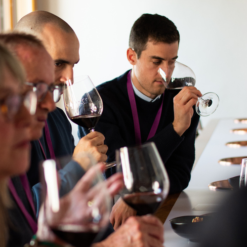 Bodegas Luzón supera los 10.000 visitantes en 2025