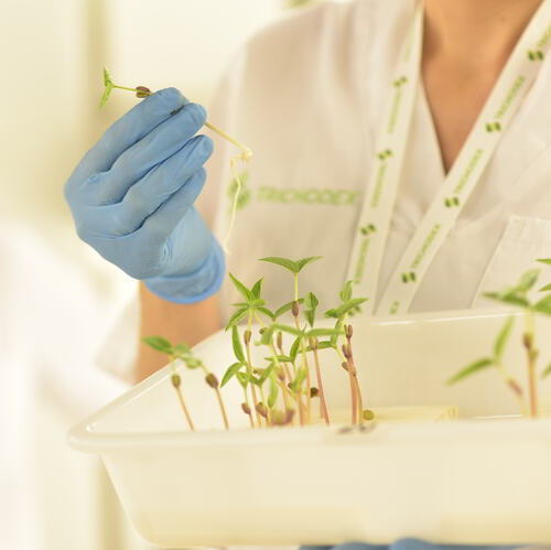 TRICHODEX (Grupo Fertiberia) presenta en el 18º Symposium de Sanidad Vegetal “Microbioma Detox”, una visión aplicada para mejorar la salud del suelo y la resiliencia de los cultivos