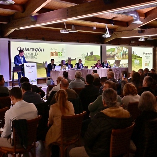 Pastores factura 55 millones de euros centrado en potenciar sus servicios y la diversificación
