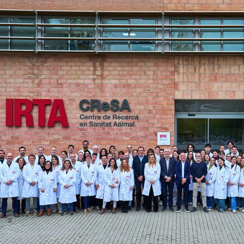 El IRTA-CReSA, satisfecho de la confirmación de que el centro no es el origen del brote de peste porcina africana