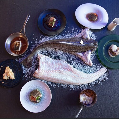 El Gran Viaje del Norte del “pez del amor”: arranca la ansiada temporada del bacalao Skrei, la joya nómada de Noruega que llega por San Valentín