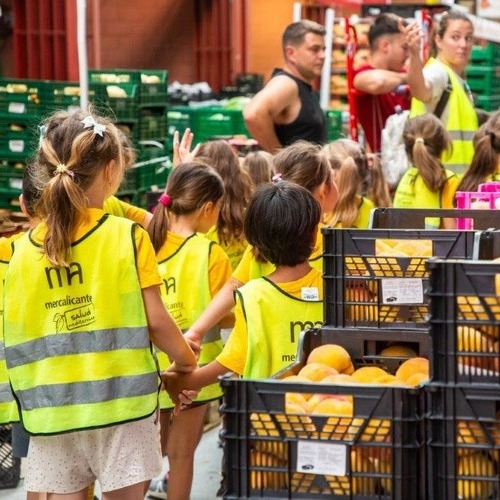 Mercalicante impulsó la empleabilidad en el sector agroalimentario en 2025 con más de 1.300 horas de formación