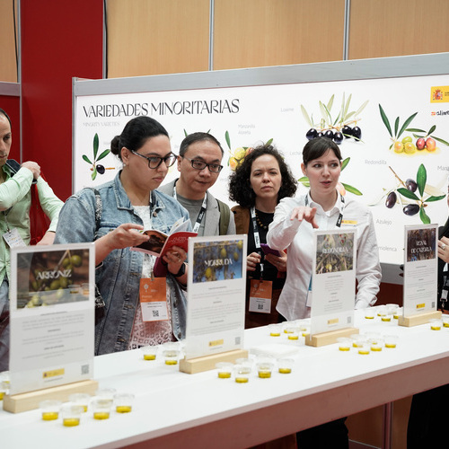 Salón Gourmets 2026: las zonas estratégicas del mayor escaparate gastronómico internacional