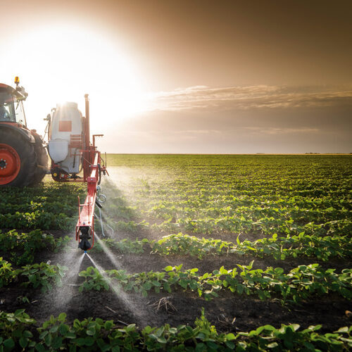 El 89% de los agricultores y ganaderos confirma su intención de renovar su póliza de seguro agrario en la próxima campaña