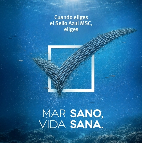 Alcampo se suma a la VI Semana Mares Para Siempre para avanzar en la protección de los océanos desde el consumo responsable