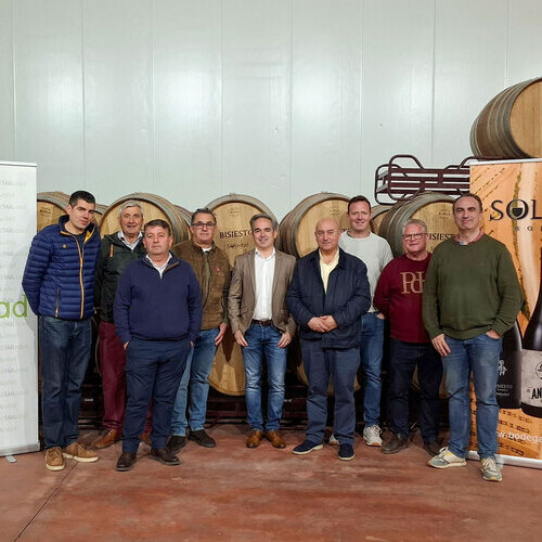 Bodega Soledad refuerza su liderazgo en la D.O. Uclés con una inversión de 1,08 millones de euros para modernizar su producción.